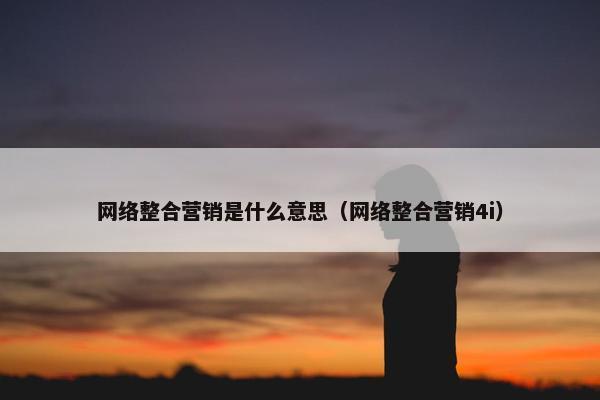 网络整合营销是什么意思（网络整合营销4i）