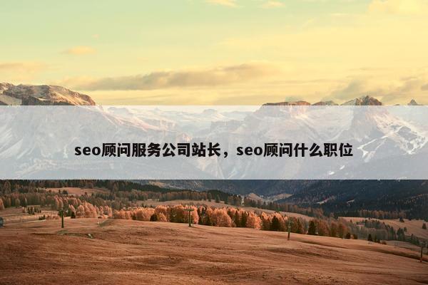 seo顾问服务公司站长，seo顾问什么职位