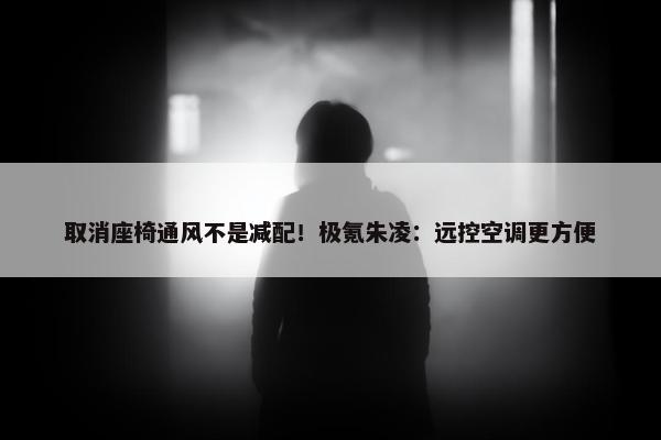 取消座椅通风不是减配！极氪朱凌：远控空调更方便