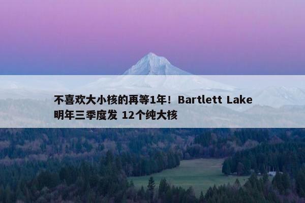 不喜欢大小核的再等1年！Bartlett Lake明年三季度发 12个纯大核