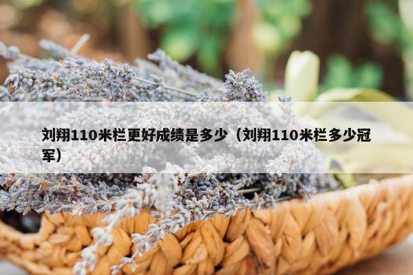 刘翔110米栏更好成绩是多少（刘翔110米栏多少冠军）