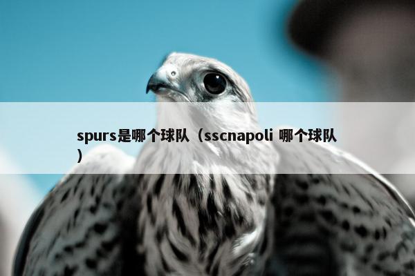 spurs是哪个球队（sscnapoli 哪个球队）