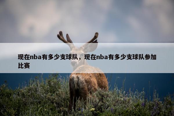 现在nba有多少支球队，现在nba有多少支球队参加比赛