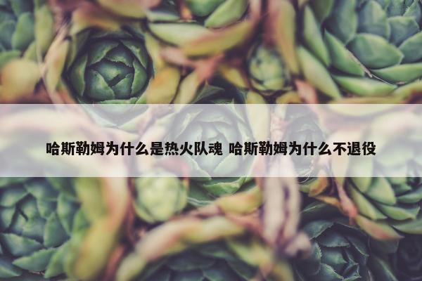 哈斯勒姆为什么是热火队魂 哈斯勒姆为什么不退役