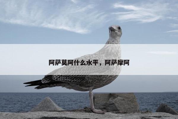 阿萨莫阿什么水平，阿萨摩阿