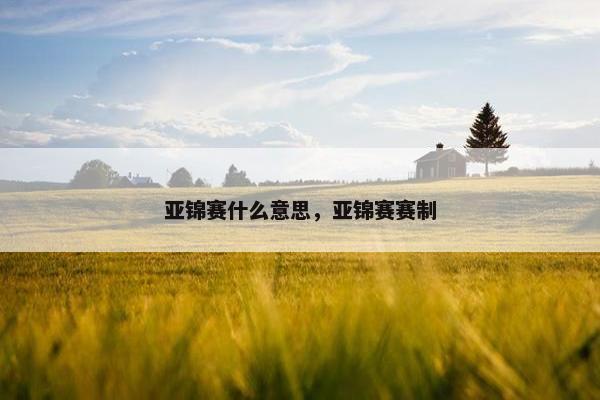 亚锦赛什么意思，亚锦赛赛制