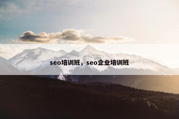 seo培训班，seo企业培训班