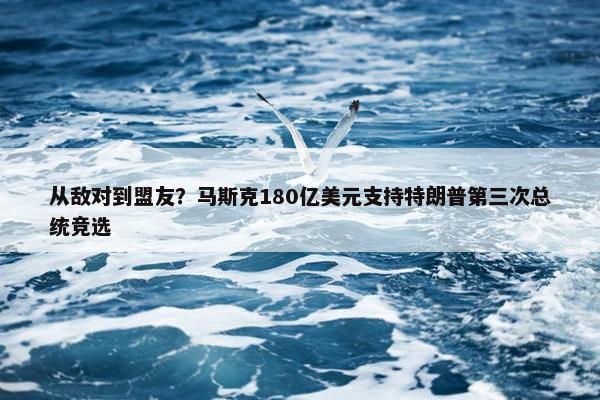 从敌对到盟友？马斯克180亿美元支持特朗普第三次总统竞选