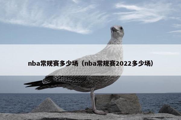 nba常规赛多少场（nba常规赛2022多少场）