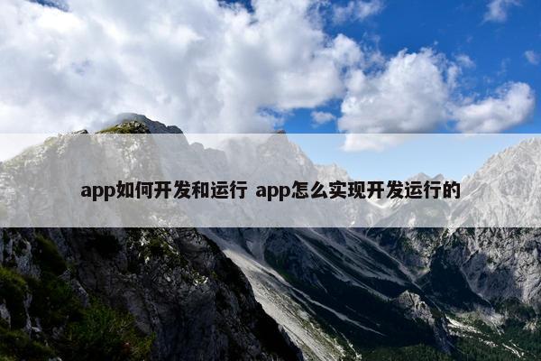 app如何开发和运行 app怎么实现开发运行的