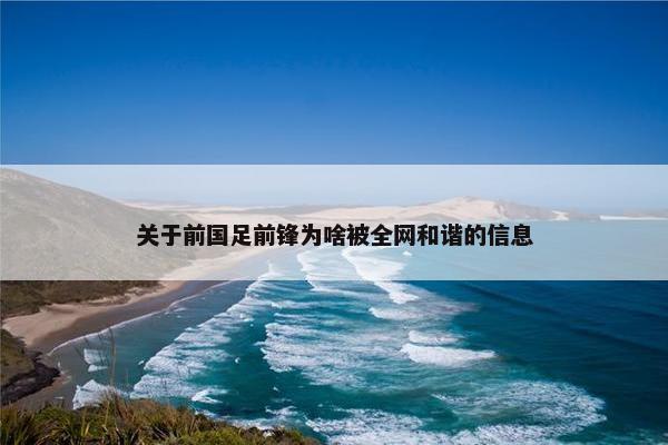 关于前国足前锋为啥被全网和谐的信息