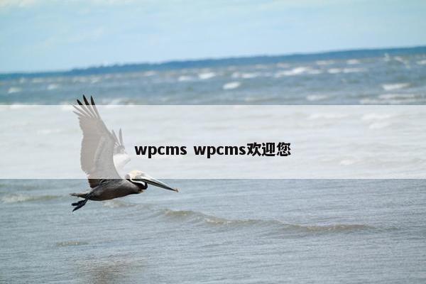 wpcms wpcms欢迎您