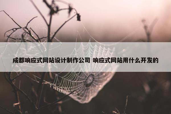 成都响应式网站设计制作公司 响应式网站用什么开发的