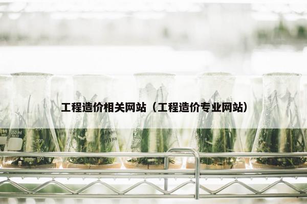 工程造价相关网站（工程造价专业网站）