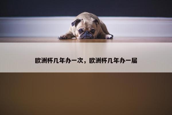 欧洲杯几年办一次，欧洲杯几年办一届