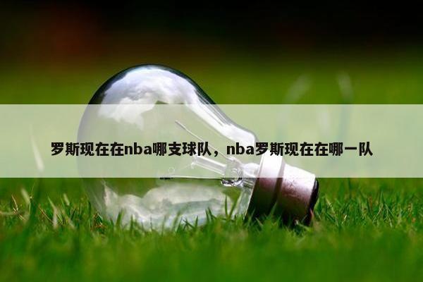 罗斯现在在nba哪支球队，nba罗斯现在在哪一队