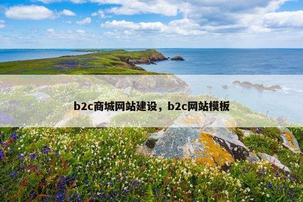 b2c商城网站建设，b2c网站模板