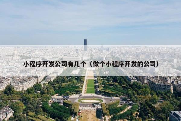 小程序开发公司有几个（做个小程序开发的公司）