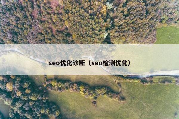 seo优化诊断（seo检测优化）