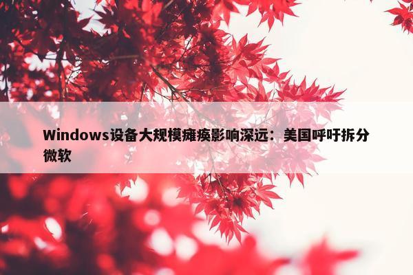 Windows设备大规模瘫痪影响深远：美国呼吁拆分微软