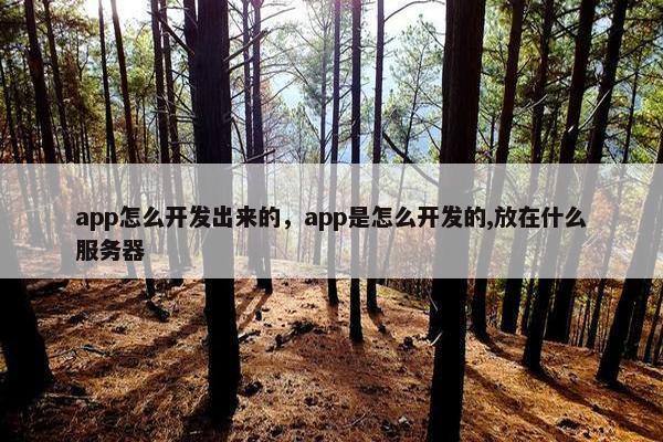 app怎么开发出来的，app是怎么开发的,放在什么服务器