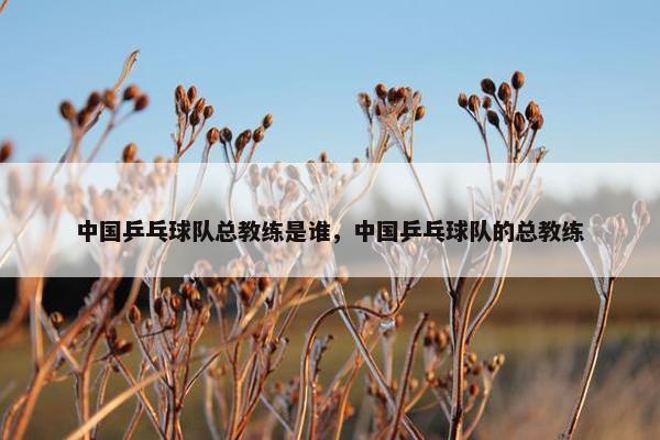 中国乒乓球队总教练是谁，中国乒乓球队的总教练