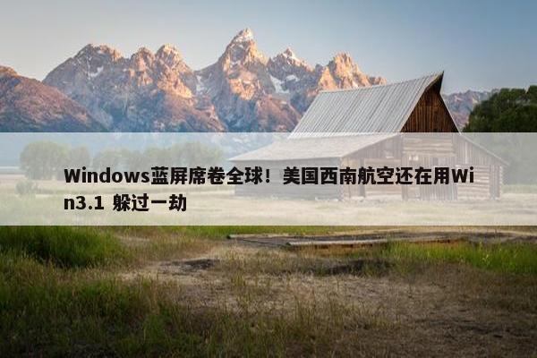 Windows蓝屏席卷全球！美国西南航空还在用Win3.1 躲过一劫