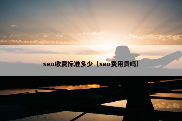 seo收费标准多少（seo费用贵吗）