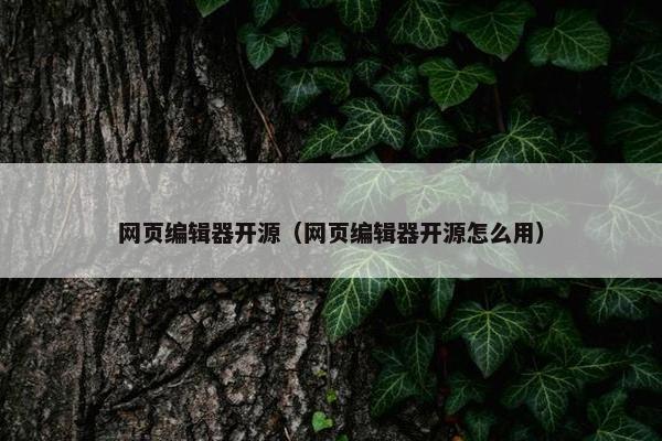 网页编辑器开源（网页编辑器开源怎么用）