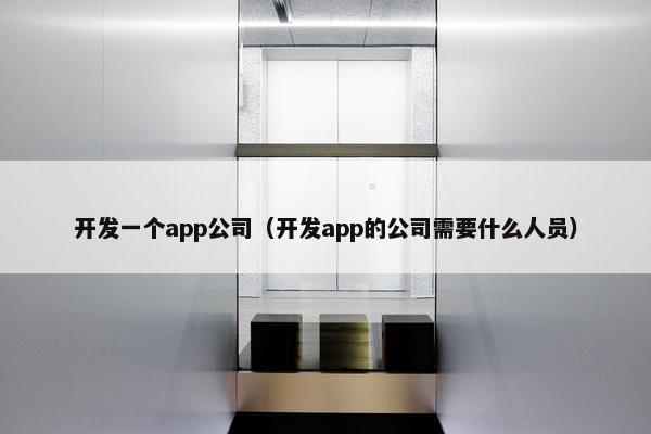 开发一个app公司（开发app的公司需要什么人员）