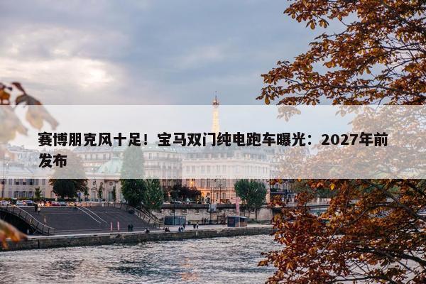 赛博朋克风十足！宝马双门纯电跑车曝光：2027年前发布