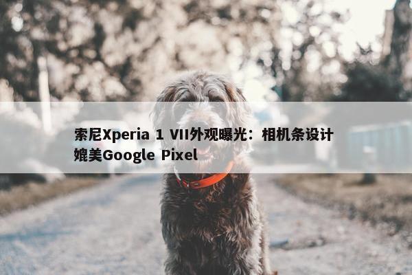 索尼Xperia 1 VII外观曝光：相机条设计 媲美Google Pixel