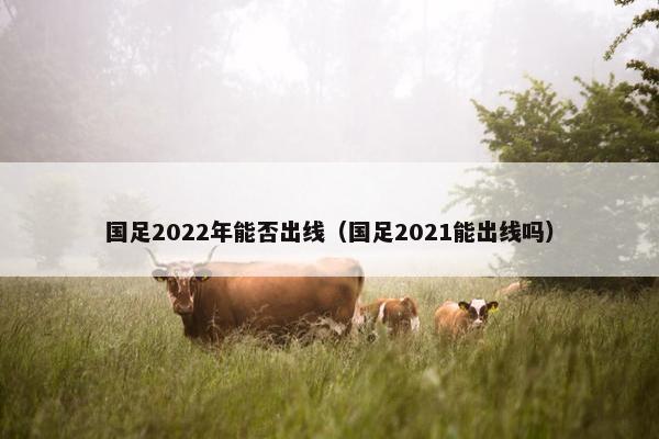 国足2022年能否出线（国足2021能出线吗）