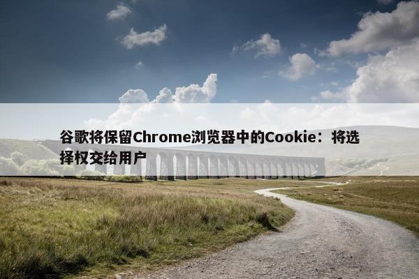 谷歌将保留Chrome浏览器中的Cookie：将选择权交给用户