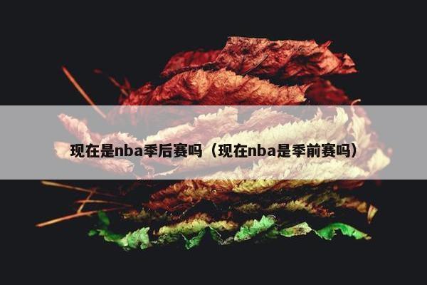 现在是nba季后赛吗（现在nba是季前赛吗）