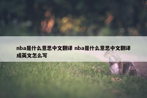 nba是什么意思中文翻译 nba是什么意思中文翻译成英文怎么写