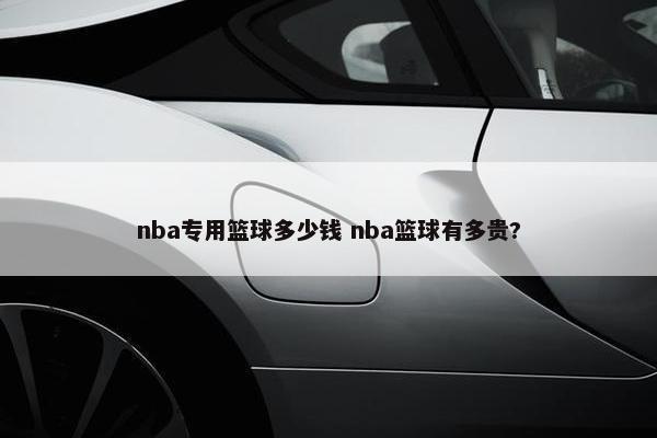 nba专用篮球多少钱 nba篮球有多贵?