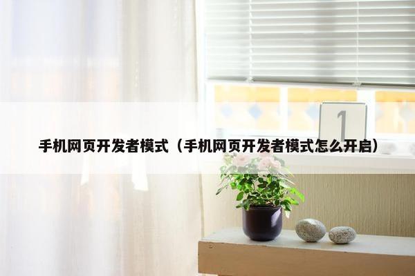 手机网页开发者模式（手机网页开发者模式怎么开启）