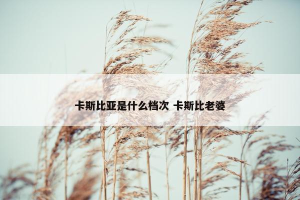 卡斯比亚是什么档次 卡斯比老婆