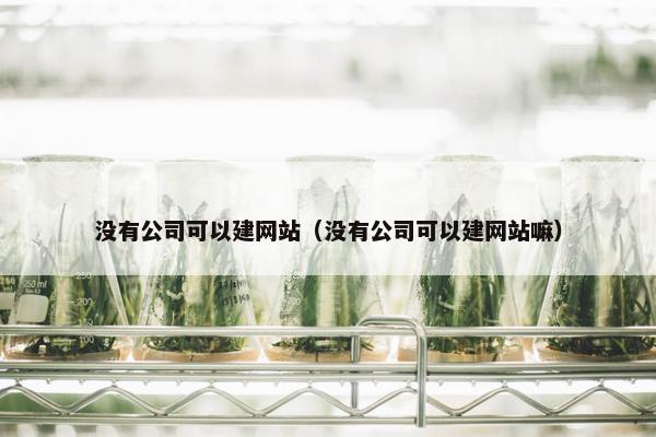 没有公司可以建网站（没有公司可以建网站嘛）