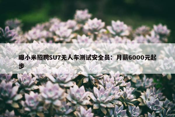 曝小米招聘SU7无人车测试安全员：月薪6000元起步