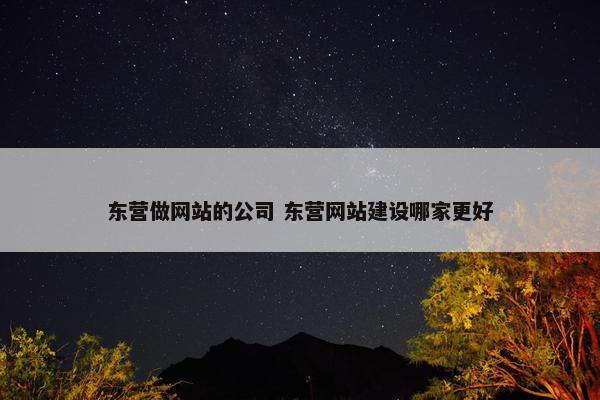 东营做网站的公司 东营网站建设哪家更好