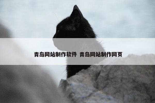 青岛网站制作软件 青岛网站制作网页