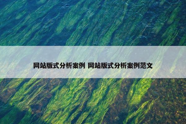 网站版式分析案例 网站版式分析案例范文