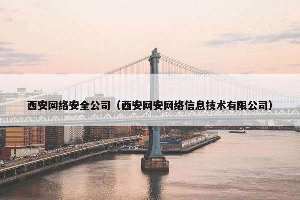 西安网络安全公司（西安网安网络信息技术有限公司）