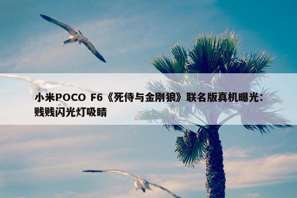 小米POCO F6《死侍与金刚狼》联名版真机曝光：贱贱闪光灯吸睛