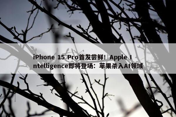 iPhone 15 Pro首发尝鲜！Apple Intelligence即将登场：苹果杀入AI领域