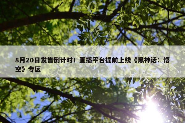 8月20日发售倒计时！直播平台提前上线《黑神话：悟空》专区