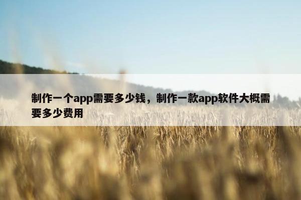 制作一个app需要多少钱，制作一款app软件大概需要多少费用