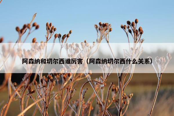 阿森纳和切尔西谁厉害（阿森纳切尔西什么关系）